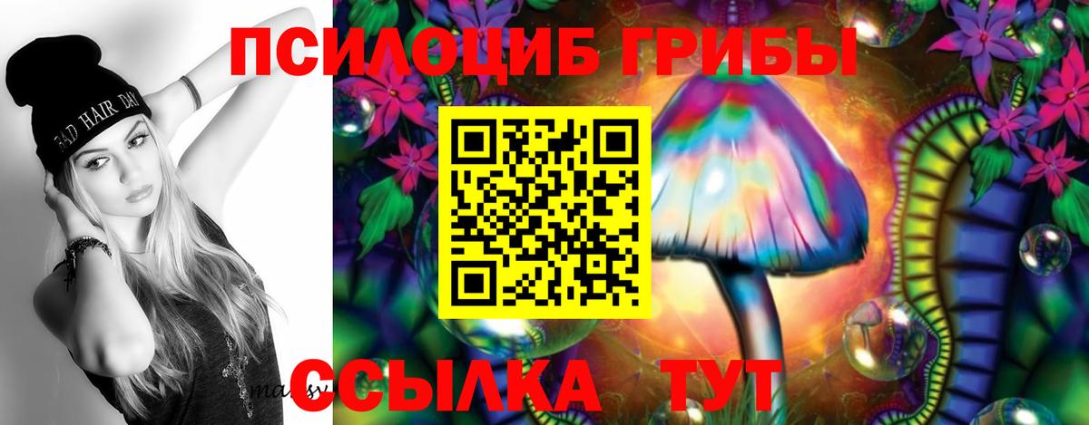 дарнет шоп  Вход с VPN  Рузаевка  Псилоцибиновые грибы ЛСД 